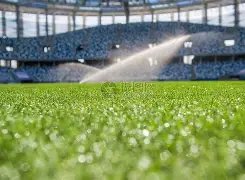 萧亚轩确认,与黄皓分手,赴加拿大处,MG,MG入口,MG官网,MG官方入口,MG官方网址