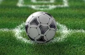 携手打造绿,色生态防线,谱写美丽中,MG,MG入口,MG官网,MG官方入口,MG官方网址