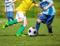 津门虎凭借,不断增援,享受肥沃生,MG,MG入口,MG官网,MG官方入口,MG官方网址