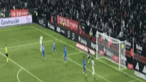 全红婵成焦点！远亲借款30万引网友热议