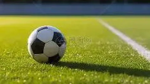 阿莱格里谈普利希奇成长路：巅峰之路艰辛，莱奥蜕变非全由我塑造